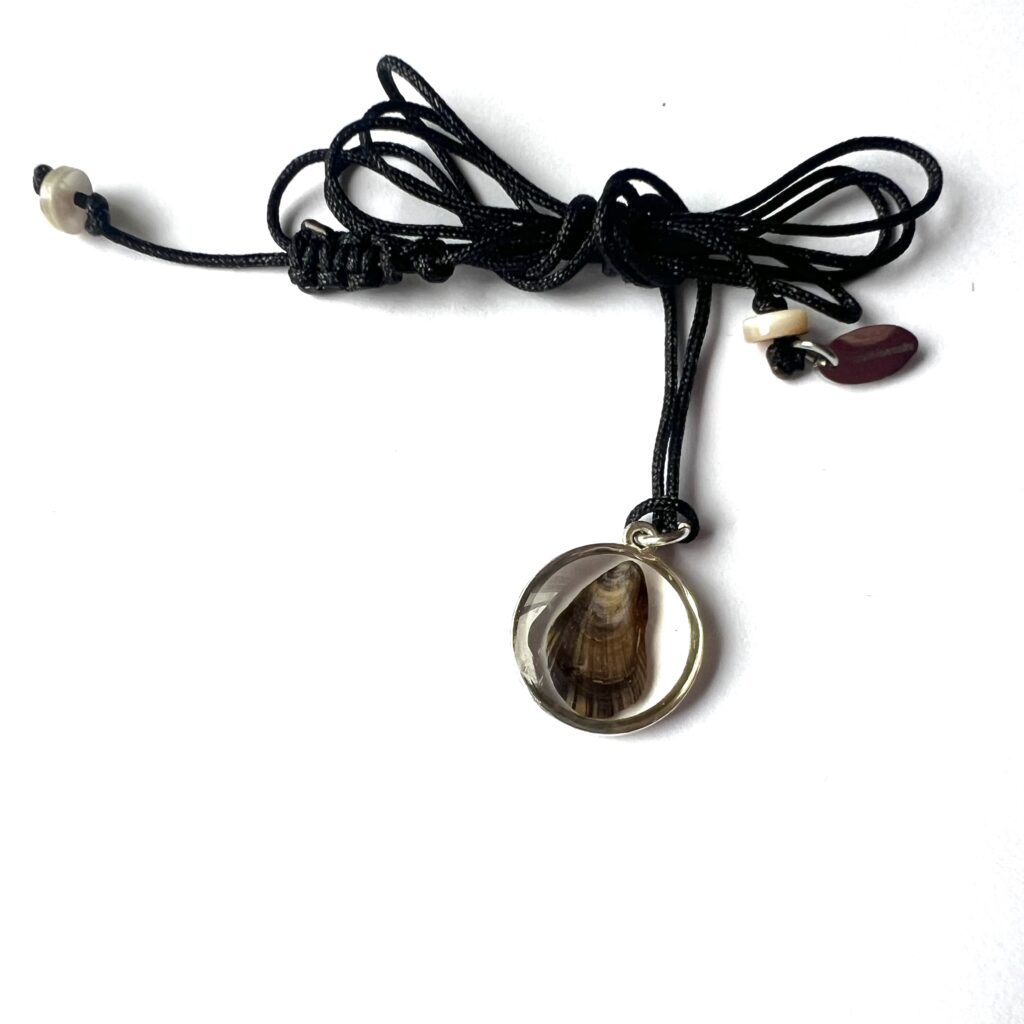 Zilverkleurige RVS bedelhanger met mosselschelp